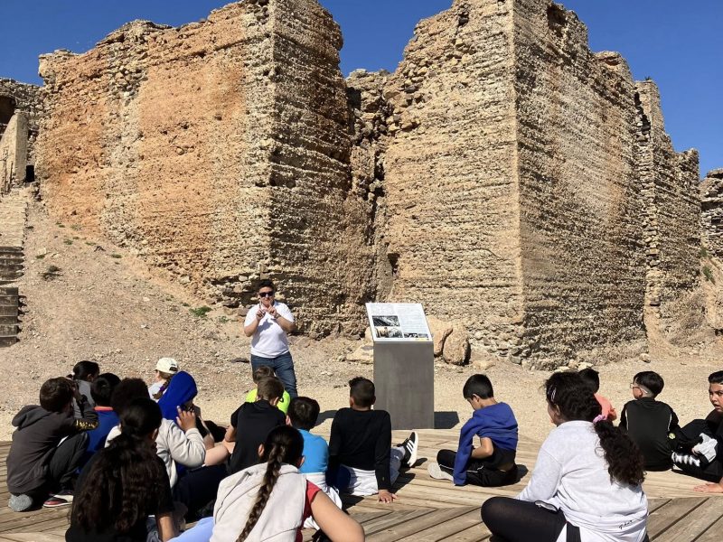 03_VisitaContinua_Castillejo