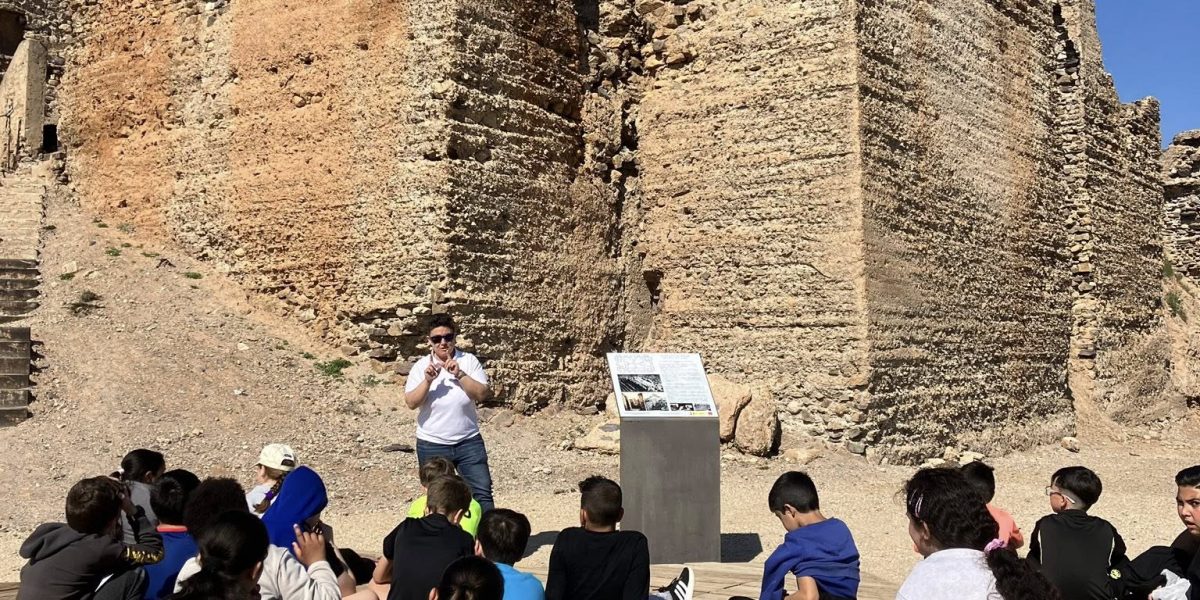 03_VisitaContinua_Castillejo